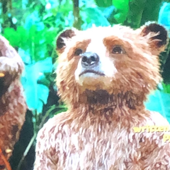 Meet your Posher, Paddington - Picture 1 of 1